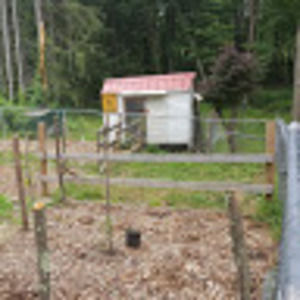 Meet your Posher, Skyler